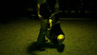 Training a bitch's ex-wife in a public park.