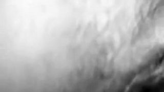 There’s A Nat In Here