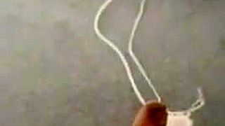 Periscope Shower Tease