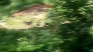 Best Xxx Video Cum-Shot Best Ever Seen - Kimberly Nutter