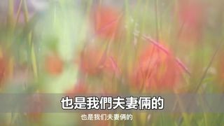 大哥没有生育能力，嫂子半夜敲开我房门，让我帮忙