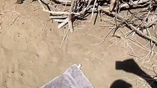 Amatuer Close Up Swallowing Fucki