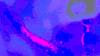 African Light Fun With Attractive Pregnant Milf