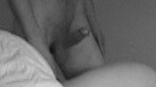 Cuckold close up of bulls dick