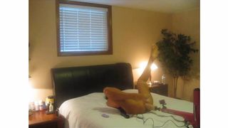 AMATEUR WIFE LEGS UP ORGASM FUCKING DILDO MACHINE