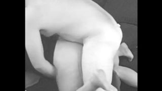 hidden cam pawg wife quick doggy