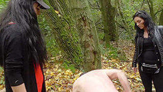 Kick for the poor male slave by Femdom Austria