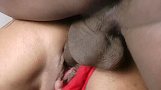 Exclusivity : Public sex exhibition and outdoor fucking - PissVids