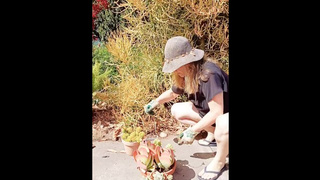 Somegardenmaintenance