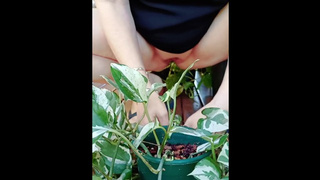 Caringformyplants