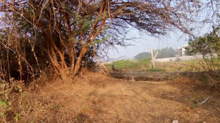 Indian village butiful sine