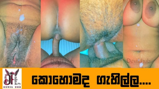 ex-wife is best කොහොමද වයිෆ්ගේ ගැහිල්ල