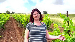 Amandine, 18, business student in Lyon! - Jacquie et Michel TV