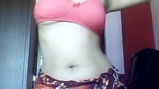 Indian Aunty In Pink Bra - DesiPapa