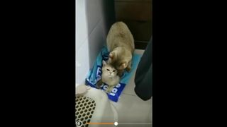 Boss Jin having Lusty Sex with Wife, which Live Show by Parents