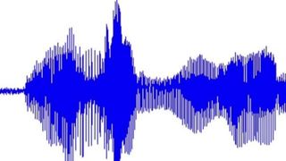 I FIND ON MY WIFES WHATSSAP AN AUDIO SENT TO HER COLLEAGUE