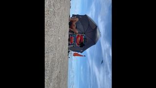 Nude Beach Wife Showing off Pretty Pussy