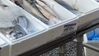 Sexy Italian slut with cute ass