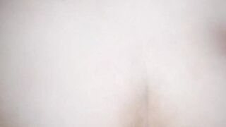 Lisa la vacca maialona