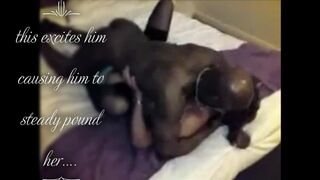 four cuck-old Beauties bred by bbc