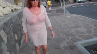 Cougar in a transparent net walks down the street