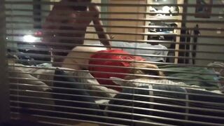 Amateurs Bitch Fuckong Ex-Wife Caught Cheating like a Chick Pt1