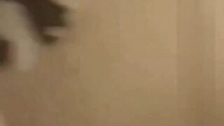 Cuck Saudi hero with his whore sister