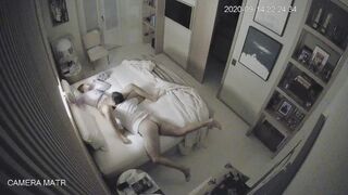 WH-IP-006. IP Cameras