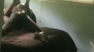 Bull visiting white ex-wife in her marital bed