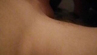 Votre chienne vous parle